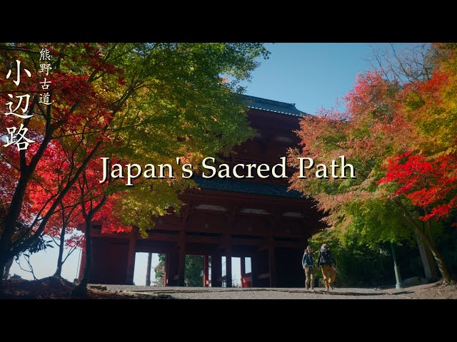 4 Autumn Days Hiking Japan’s Kumano Kodo | Kohechi Pilgrimage Trail