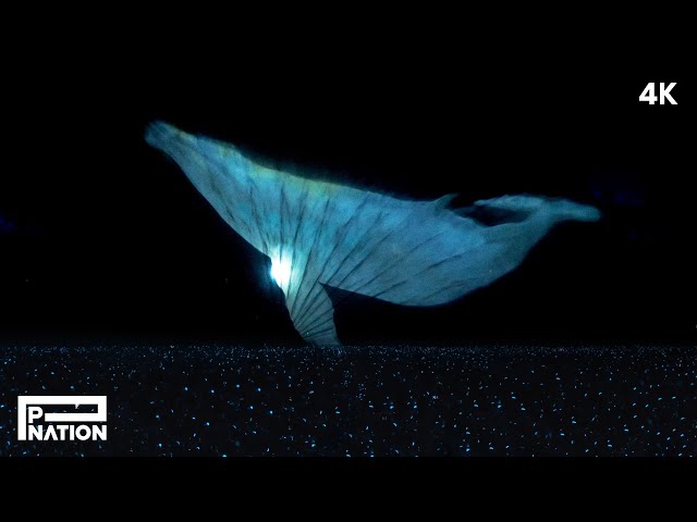 PSY - 흰수염고래 (Blue Whale) Live from 싸이흠뻑쇼 SUMMERSWAG 2025