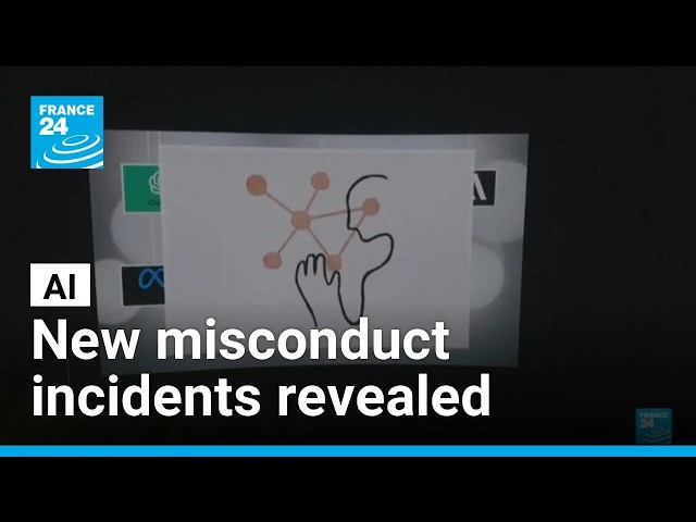 OpenAI reveals new AI misconduct incidents • FRANCE 24 English