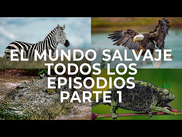 El Mundo Salvaje: Serie Documental Completa Parte 1 | Free Documentary Nature -  Español