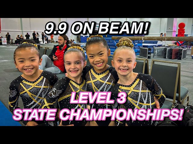 LEVEL 3 STATE CHAMPIONSHIPS! *9.9 BEAM ROUTINE!*