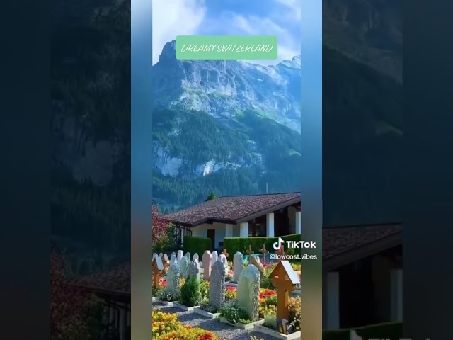 #GoodVibesShorts | Low Cost Vibes