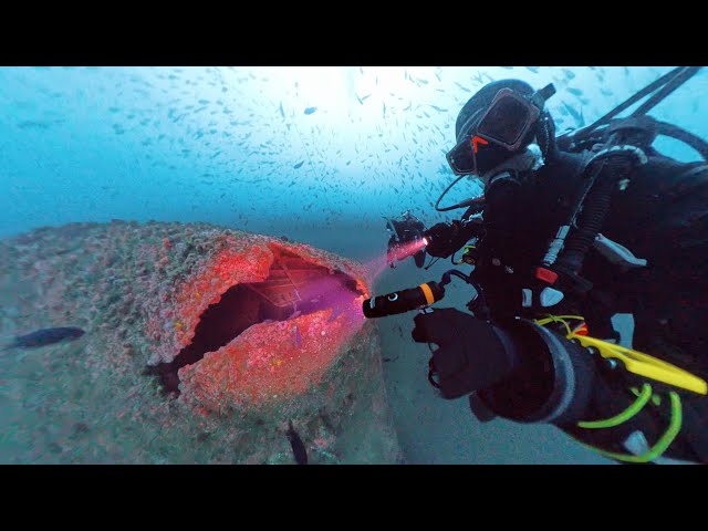 Dive with us on HMCS Yukon in 360º