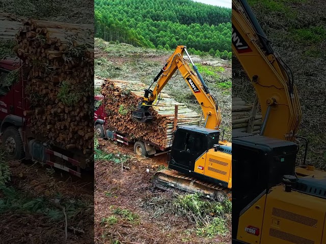Tired of inefficient timber transportation in forests?