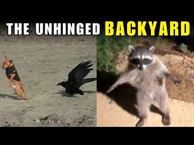 Your Backyard is Full of Batsh*t Crazy Animals
