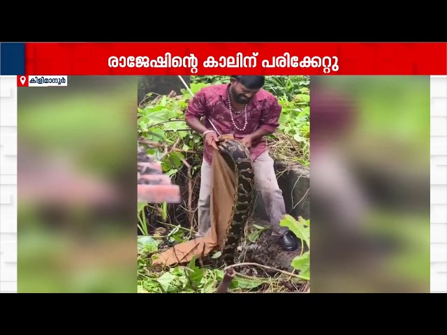 '50 കിലോ ഭാരമുണ്ടായിരുന്നു'! പാമ്പുപിടുത്തക്കാരന് പെരുമ്പാമ്പിന്റെ കടിയേറ്റു | Python | Trivandrum