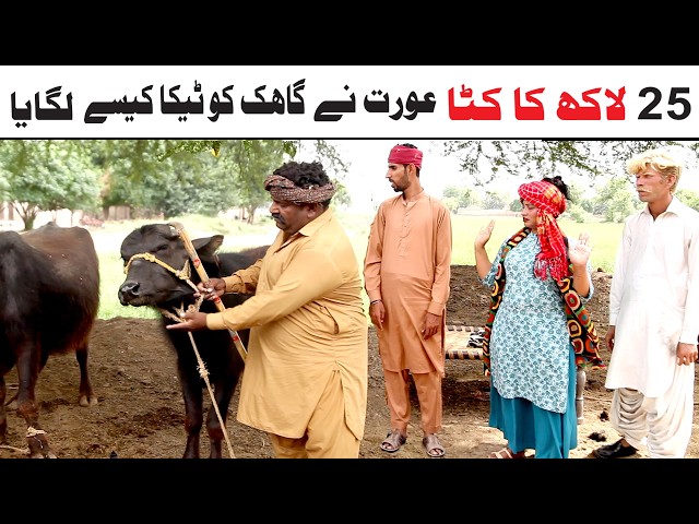 Noor Nazeer Wada Number Daar  Qurbani Ka kata New Funny Video | Comedy Funny Video | You Tv Hd 2026