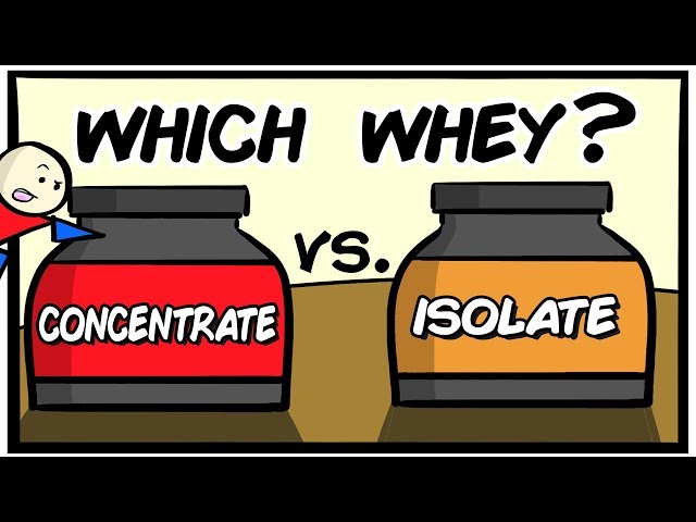 Proteina Whey Concentrada vs Aislada | ¿Cuál WHEY es mejor?