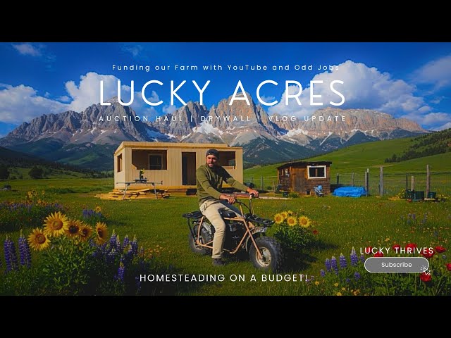 How We Homestead on a Budget: Auction Hauls, Tiny House Drywall & Lucky Acres Weekly Progress