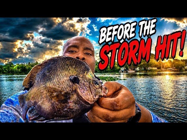 Bluegill & Shellcracker fishing Before The Storm hit!