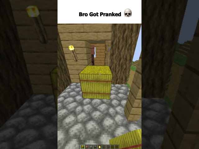 I Pranked a Villager 💀 | Minecraft