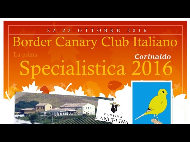 Border Canary Show - Corinaldo 2016