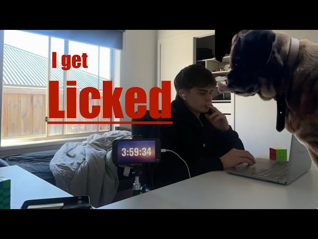 4 hours to build software (with no experience) or my dog licks Nutella off my face!