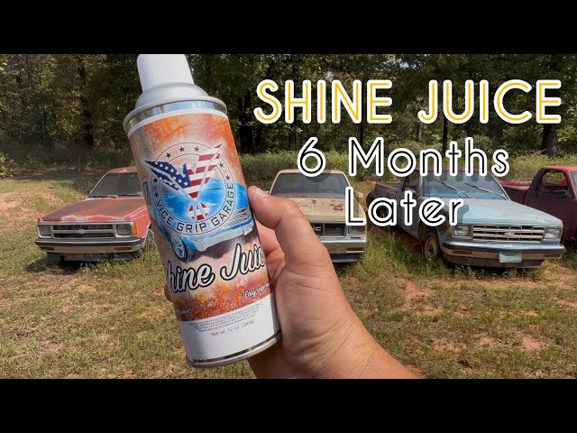 6 Month Review - Vice Grip Garage Aerosol Shine Juice