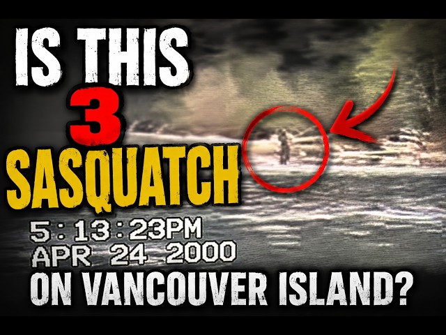 An Old Video Of 3 Sasquatch On Vancouver Island Surfaces