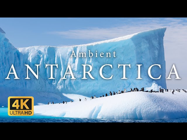 Ambient Antarctica 4K | 2-hour Relaxing Slow Nature Film
