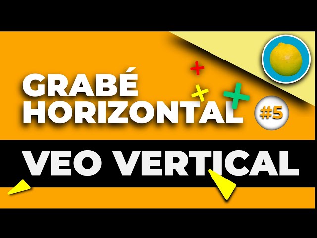 ¿POR QUÉ LO VEO VERTICAL? | LEMON #5