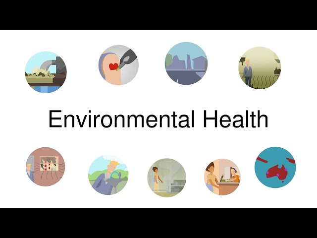What is Environmental Health?
