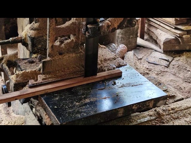 SUPER EFFICIENT Sawmill Processing: The Ultimate Way to Cut Timber