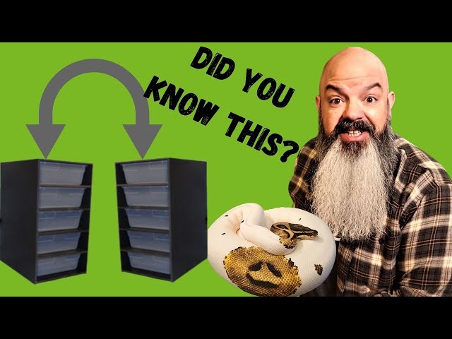 I Got A new Snake Rack: Review, Setup and SECRET TIP!