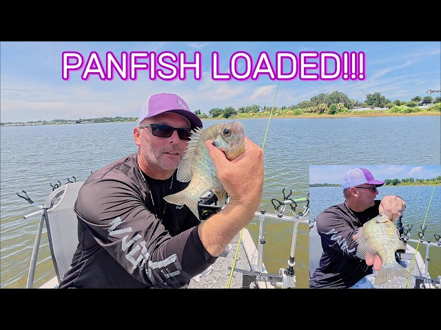 THE BLUEGILL AND SHELLCRACKER BITE WAS ON FIRE!!!