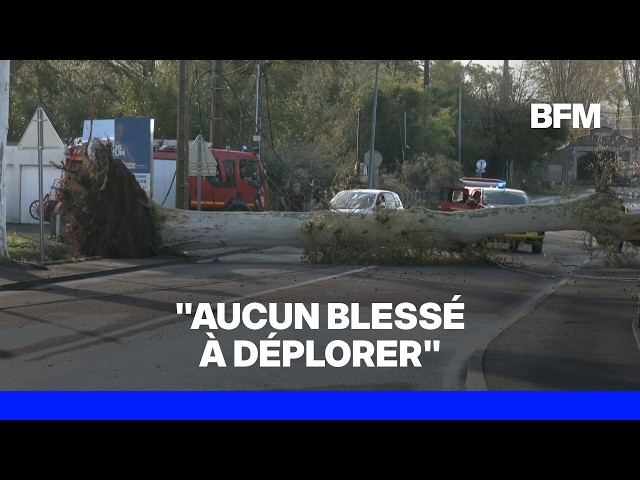 Storms: 18 departments under orange alert and heavy damage in the Landes region