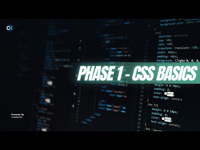 CSS PHASE 1 – CSS BASICS | CSS Basics Complete Guide | Learn CSS from Scratch | Phase 1