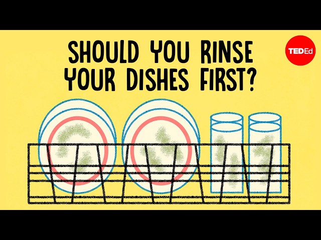 Should you rinse your dishes before placing them in the dishwasher? - Rachel Yang