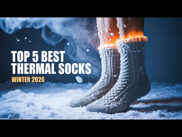 Top 5 Best Thermal Socks For Winter 2026!