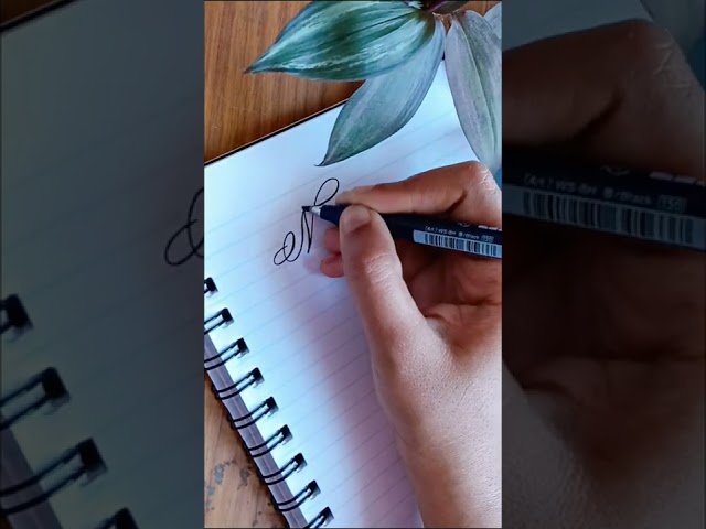 Misbah | name request calligraphy @Strokes and Curves