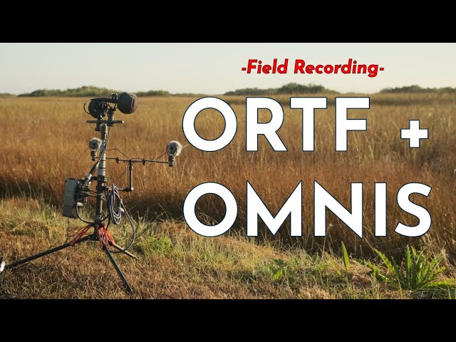 Field Recording | ORTF + Omnis