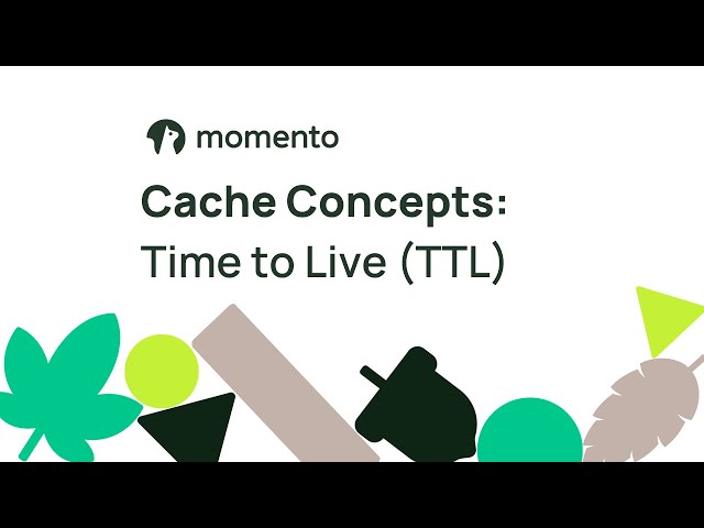 Cache Concepts: Time to Live (TTL)