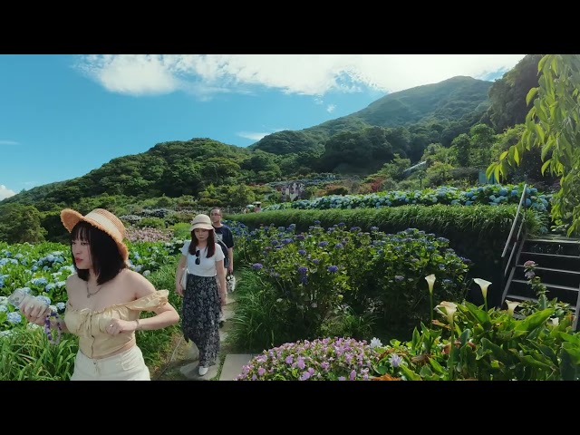 2026陽明山國家公園花季