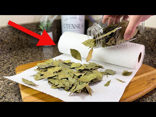 Put Cinnamon on a Paper Towel and you will be AMAZED!