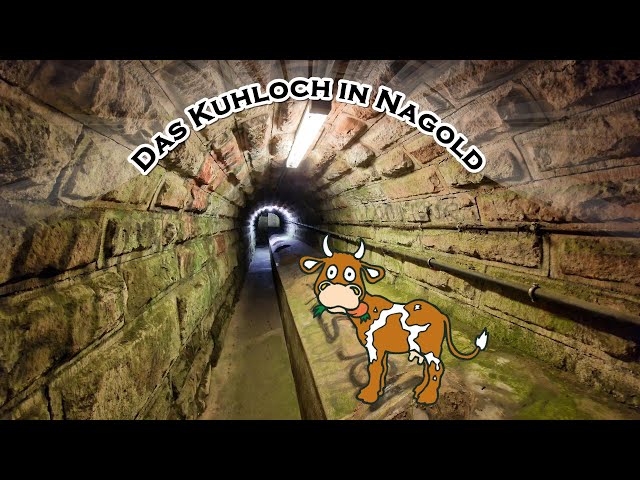 Das Kuhloch in Nagold | LOST PLACE | ehem. Bunker | Fußgängertunnel | Sehenswürdigkeit