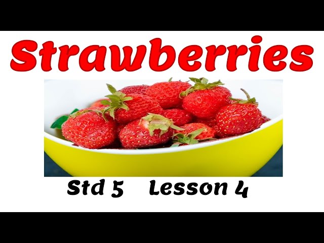 Std 5 Lesson 4 Strawberries poem explanation in English (class 7 std 5th) SSC board