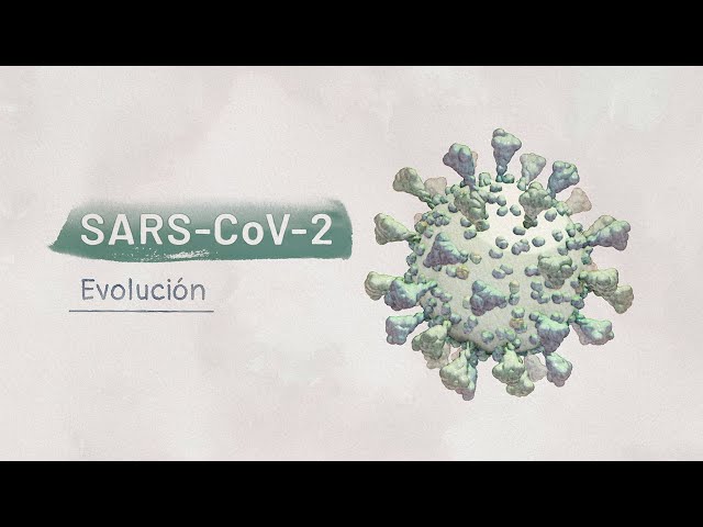La biología del SARS-CoV-2: Evolución | Video HHMI BioInteractive