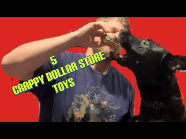 5 Dollar Store Toys