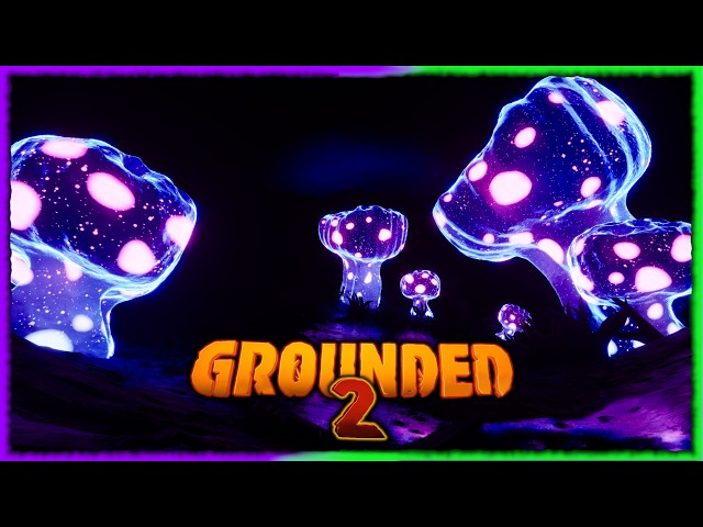 🟢 LIVE: 📡ORC Transmitters | #grounded2