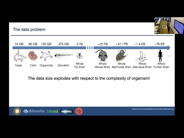 Contributed Talk- Petabyte-scale Image Processing Toolsfor Light Sheet Microscopy Data
