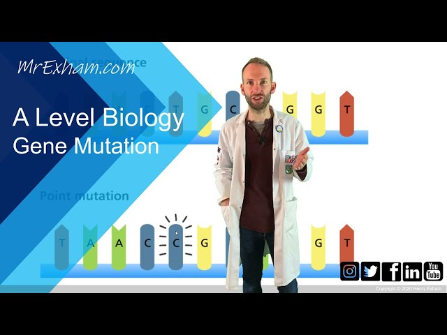 Gene mutation - A Level Biology