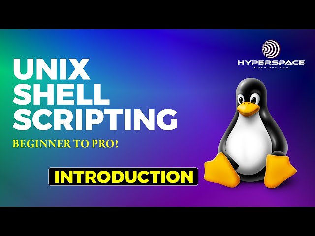 ABSOLUTE BEGINNER TO PRO: UNIX SHELL SCRIPTING TUTORIAL
