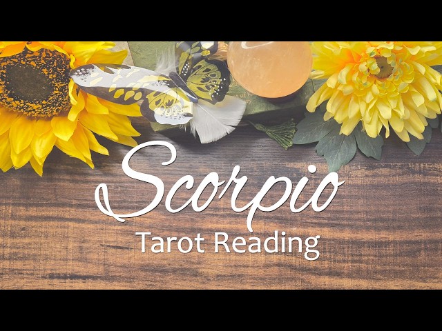 SCORPIO - A date that might be just what you need!  They're stable and emotionally available!