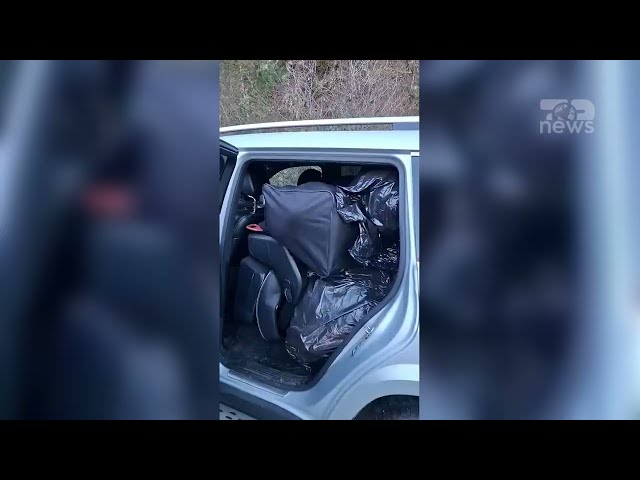 Top News- Kapen 215 kg marijuanë në Janinë/ Shqiptarja tenton arratisjen, kapen dy bashkëpunëtorët