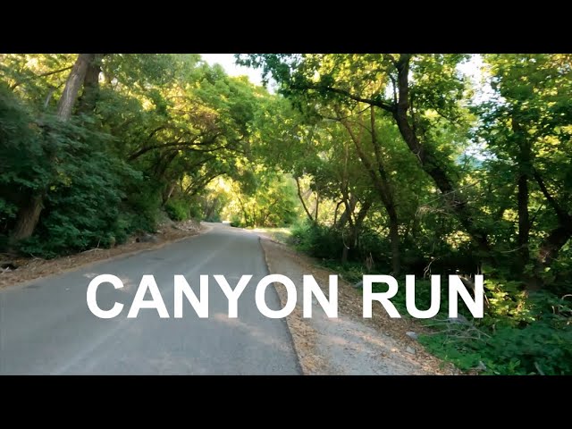 Virtual Running Jogging Scenery For Treadmill | 15 Minute Canyon Run
