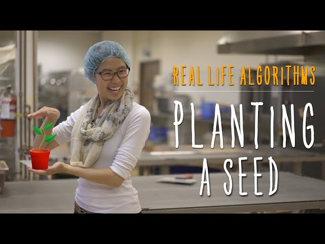 Unplugged - Real-Life Algorithms: Planting a Seed