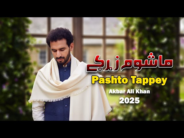 Pashto Tappy Mashoom Zargay | Akbar Ali Khan Pashto Song 2025