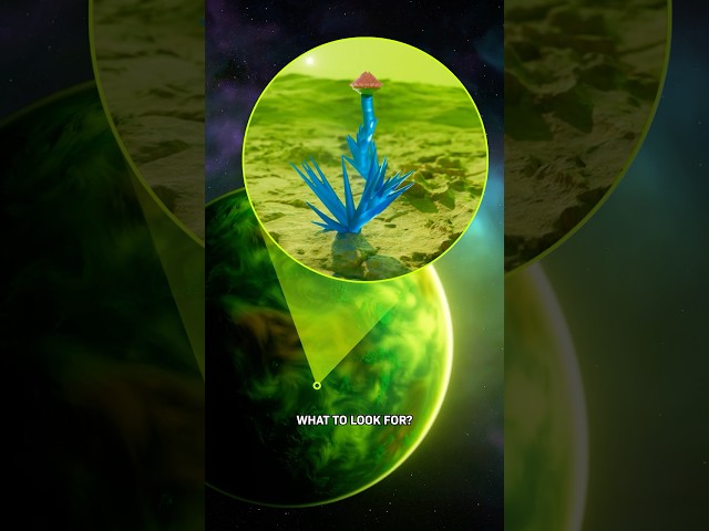 What Color Are Alien Plants?