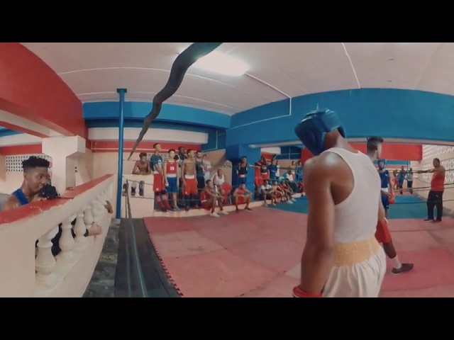 #BOXEADORA (VR)