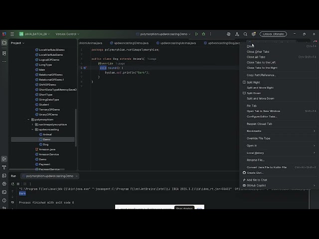 Java Upcasting & Downcasting | Type Casting in OOP Explained with Examples | TechM Academy